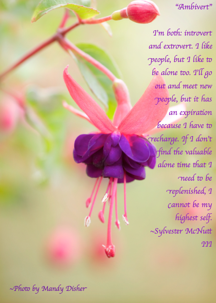 Screen Shot 2017-02-12 at 3.42.00 PM.png