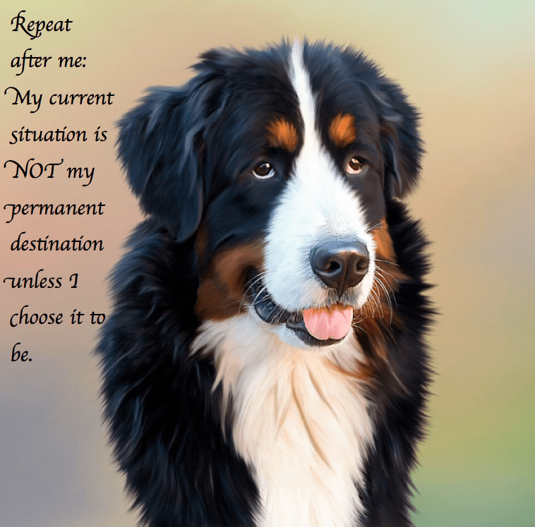 Screen Shot 2017-02-12 at 3.46.50 PM.png