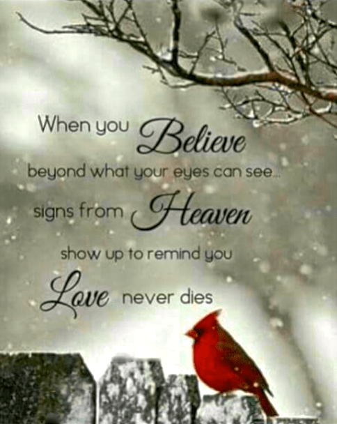 Screen Shot 2017-02-12 at 6.28.51 PM.png