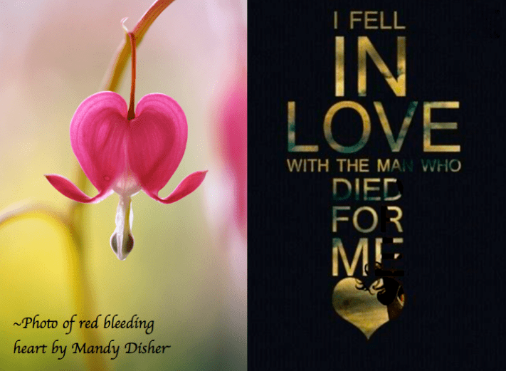 Screen Shot 2017-02-12 at 6.48.27 PM.png