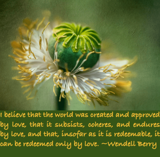 Screen Shot 2017-02-13 at 10.03.54 PM.png