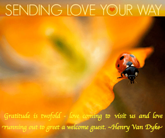 Screen Shot 2017-02-13 at 6.32.20 PM.png