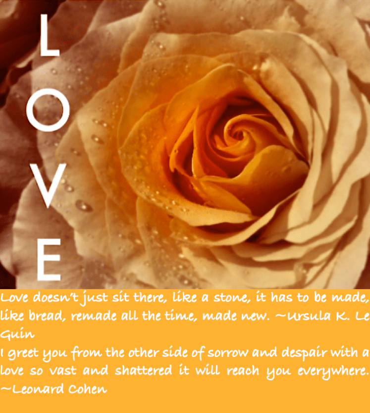 Screen Shot 2017-02-13 at 7.40.59 PM.png