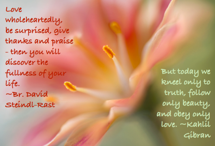 Screen Shot 2017-02-13 at 9.56.16 PM.png