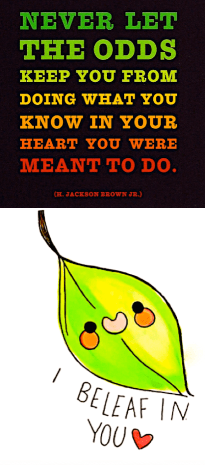 Screen Shot 2017-02-14 at 8.44.46 PM.png