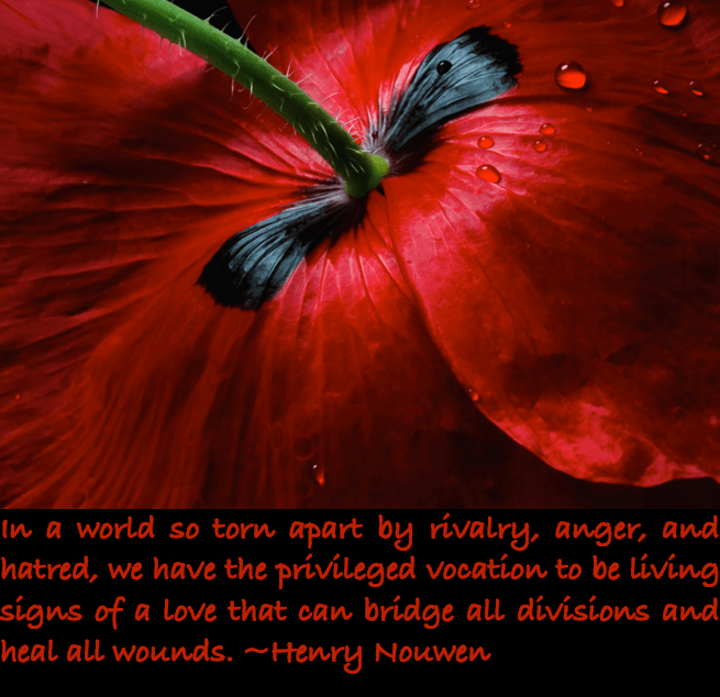 Screen Shot 2017-02-14 at 9.54.55 PM.png