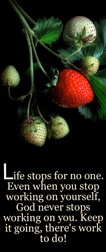 Screen Shot 2017-02-15 at 10.24.25 PM.png