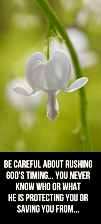 Screen Shot 2017-02-15 at 10.33.28 PM.png