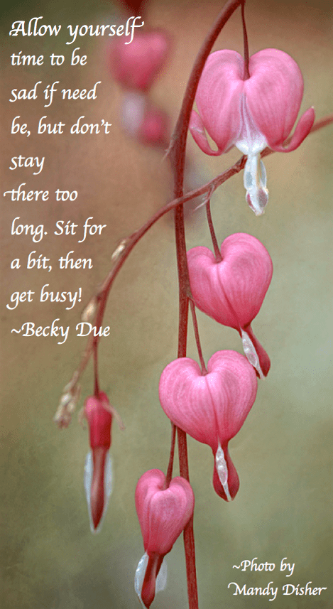 Screen Shot 2017-02-15 at 11.28.58 PM.png