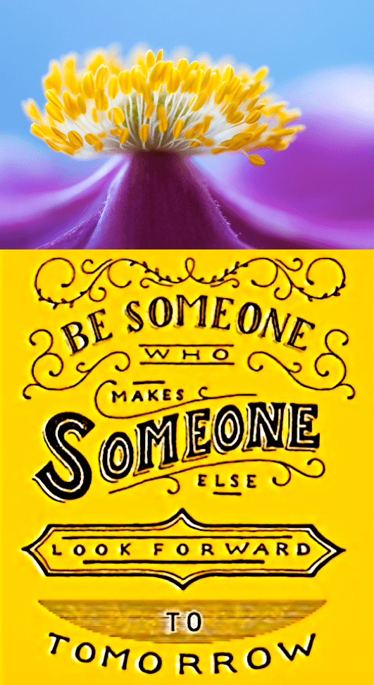 Screen Shot 2017-02-17 at 10.45.39 PM.png