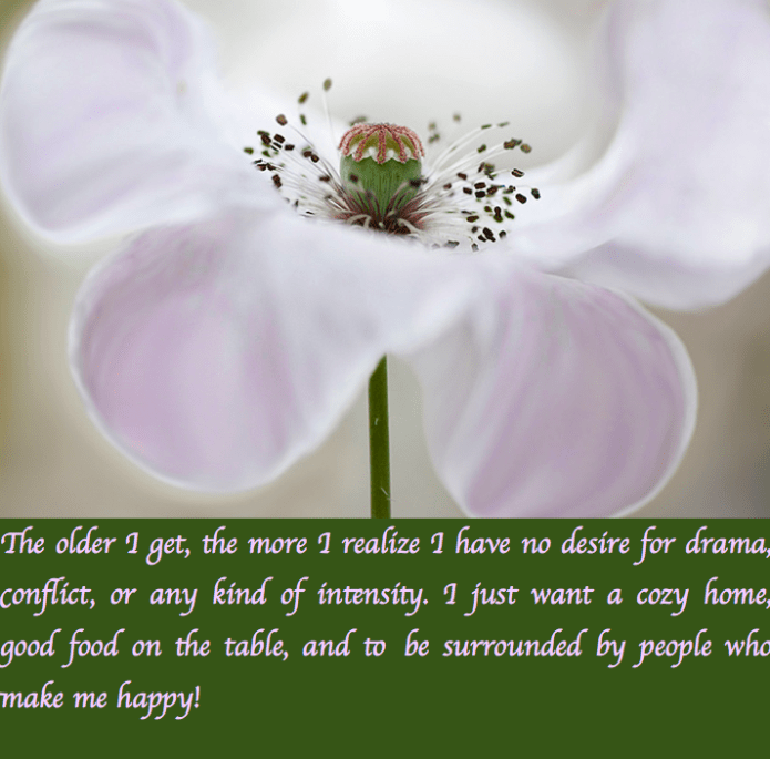 Screen Shot 2017-02-17 at 10.57.21 PM.png