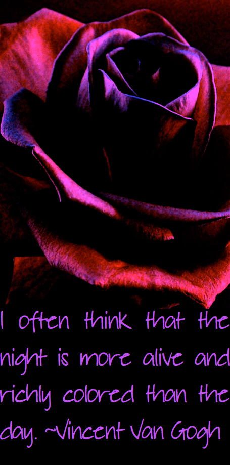 Screen Shot 2017-02-17 at 11.09.10 PM.png