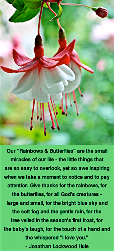 Screen Shot 2017-02-18 at 10.07.33 PM.png