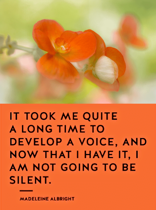 Screen Shot 2017-02-18 at 10.17.48 PM.png