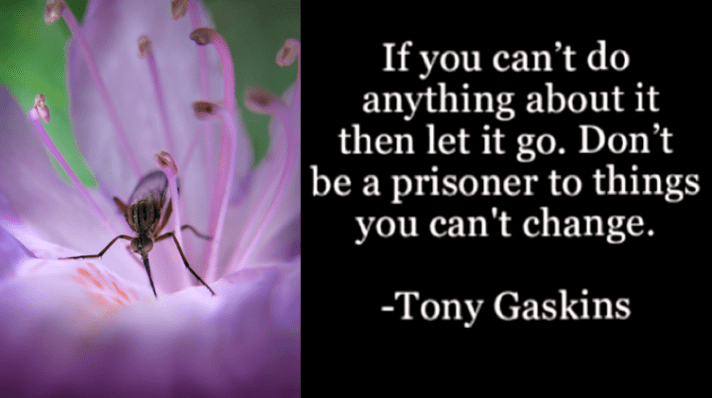 Screen Shot 2017-02-18 at 10.25.25 PM.png