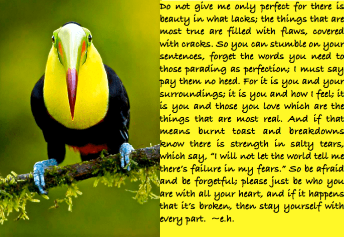 Screen Shot 2017-02-18 at 10.48.48 PM.png