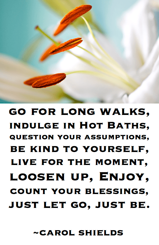 Screen Shot 2017-02-18 at 8.29.39 PM.png