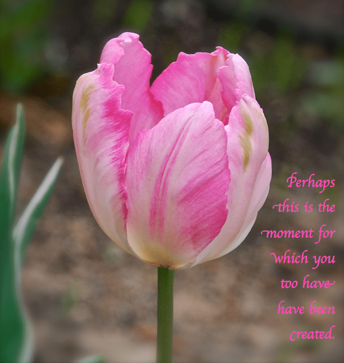 Screen Shot 2017-02-19 at 9.30.13 PM.png