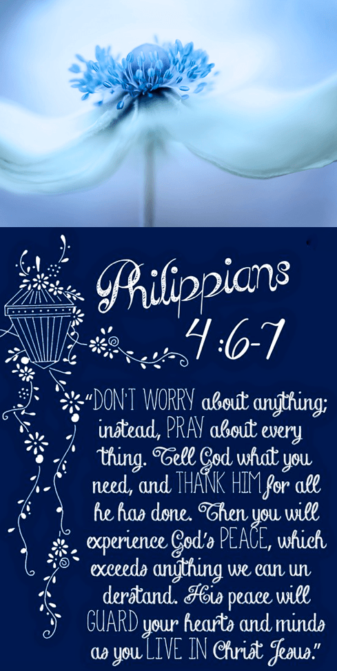 Screen Shot 2017-02-19 at 9.42.47 PM.png