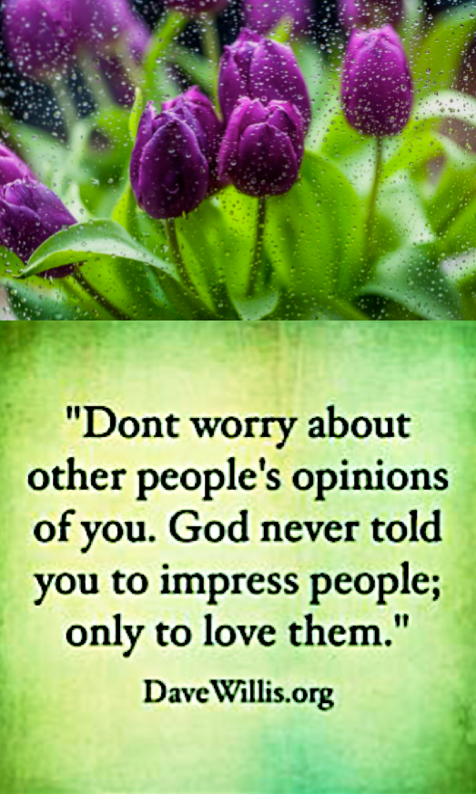 Screen Shot 2017-02-20 at 9.40.56 PM.png