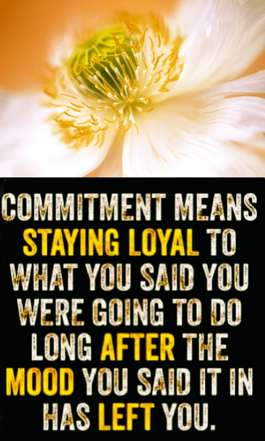 Screen Shot 2017-02-20 at 9.45.31 PM.png