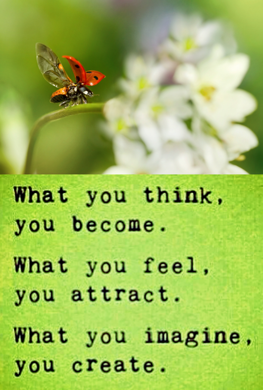 Screen Shot 2017-02-20 at 9.48.13 PM.png