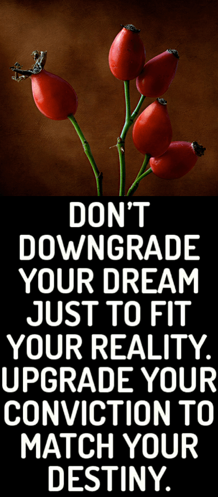 Screen Shot 2017-02-20 at 9.50.49 PM.png