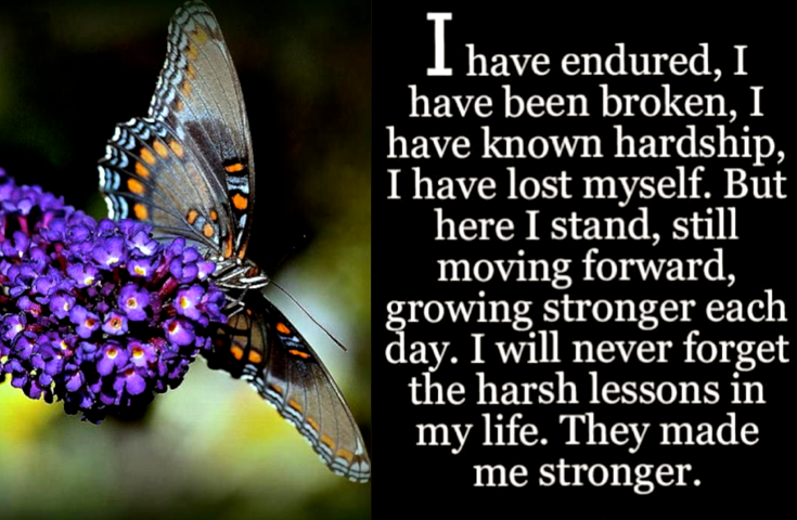 Screen Shot 2017-02-21 at 10.39.13 PM.png