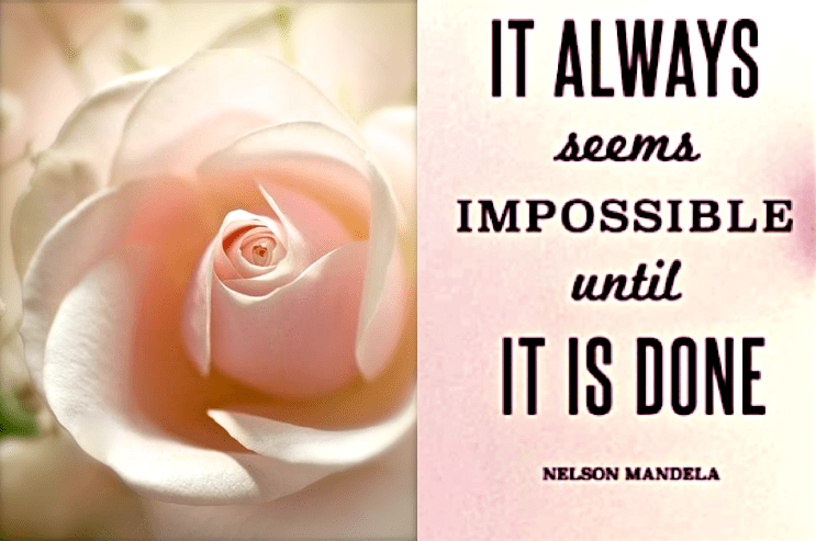 Screen Shot 2017-02-21 at 10.49.02 PM.png