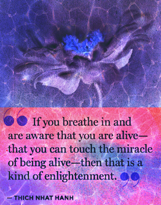 Screen Shot 2017-02-21 at 11.10.57 PM.png