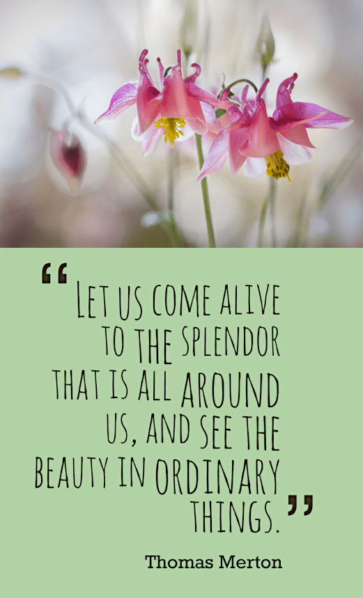 Screen Shot 2017-02-22 at 10.40.25 PM.png