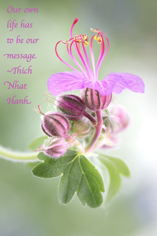 Screen Shot 2017-02-22 at 10.45.02 PM.png