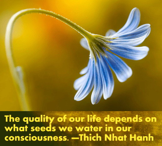 Screen Shot 2017-02-22 at 10.50.15 PM.png