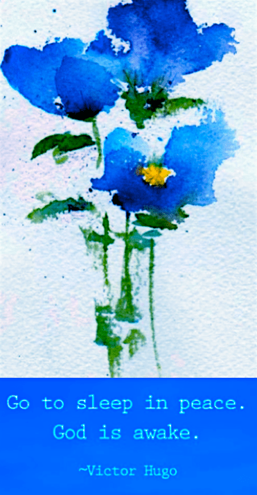 Screen Shot 2017-02-23 at 10.06.25 PM.png