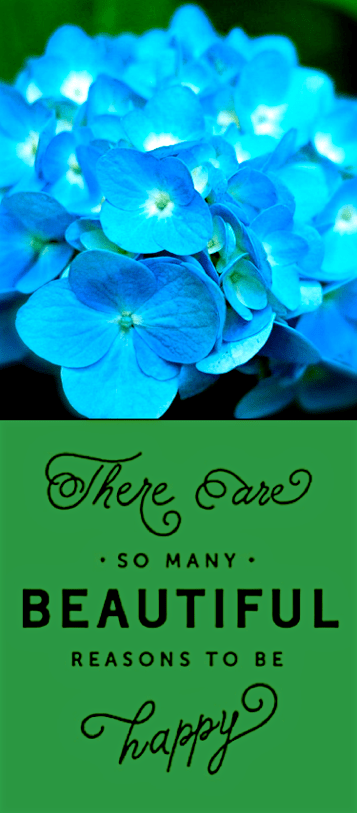 Screen Shot 2017-02-25 at 10.14.56 PM.png