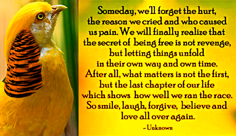 Screen Shot 2017-02-25 at 10.19.38 PM.png