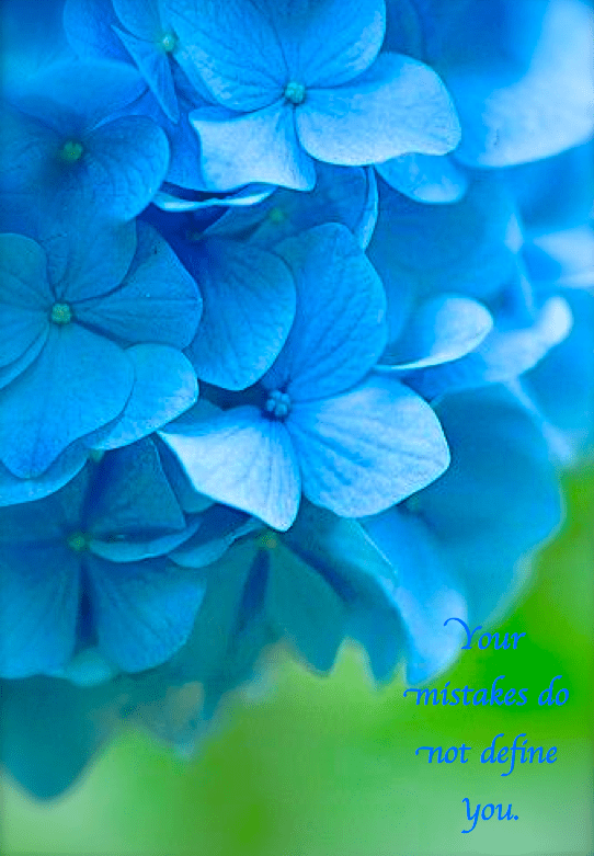 Screen Shot 2017-02-25 at 10.22.47 PM.png