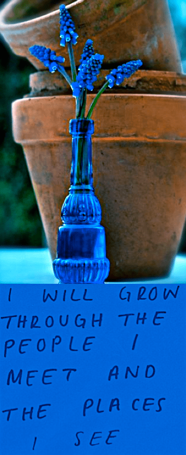 Screen Shot 2017-02-25 at 10.25.35 PM.png