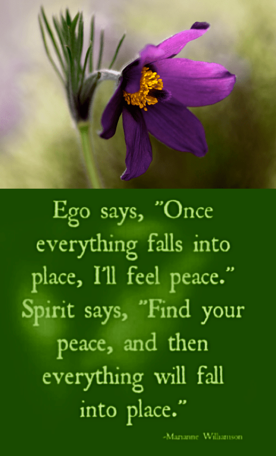 Screen Shot 2017-02-25 at 10.41.36 PM.png