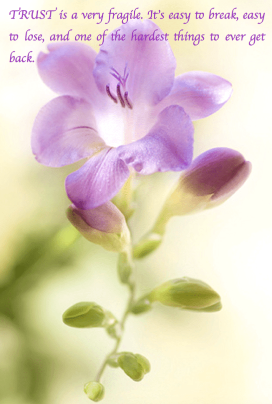 Screen Shot 2017-02-25 at 10.48.40 PM.png