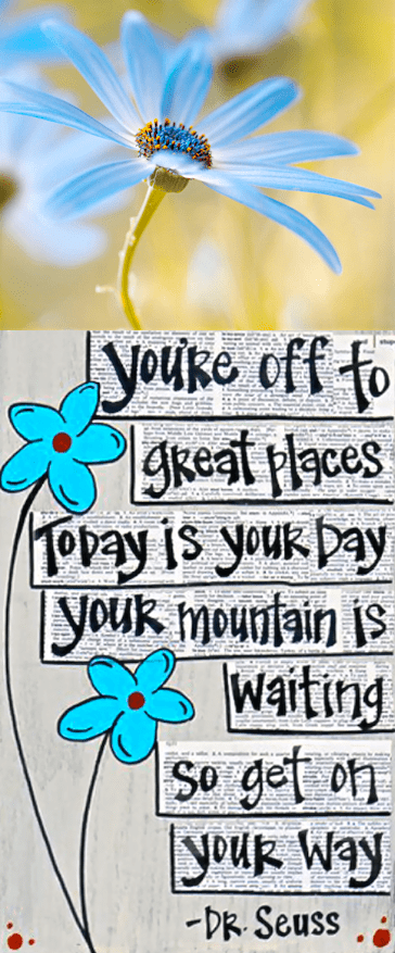 Screen Shot 2017-02-26 at 8.49.25 PM.png