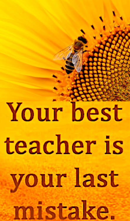 Screen Shot 2017-02-26 at 9.16.48 PM.png