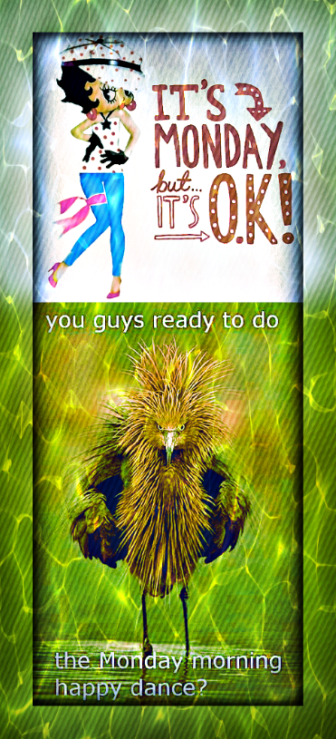 Screen Shot 2017-02-26 at 9.39.10 PM.png