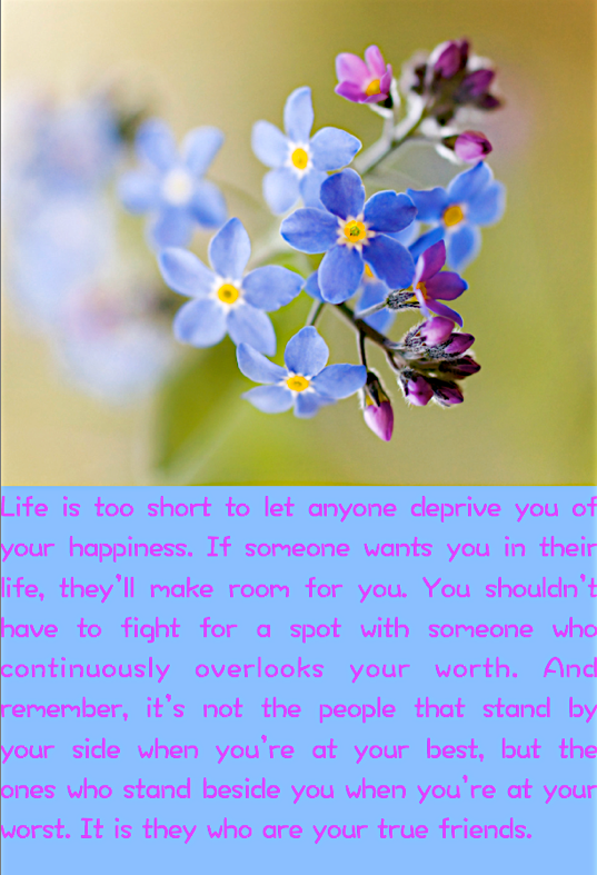 Screen Shot 2017-02-27 at 9.37.33 PM.png