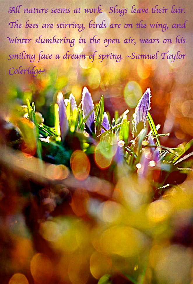 Screen Shot 2017-02-28 at 10.26.37 PM.png