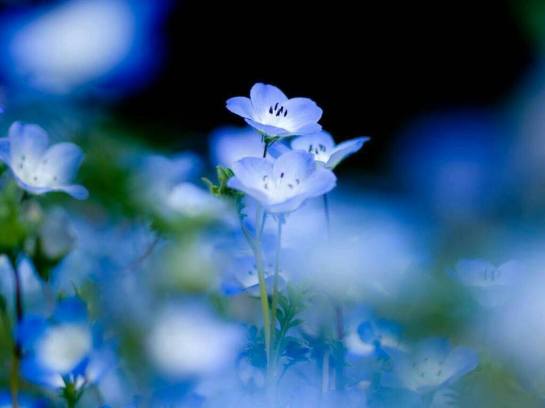 17103673_1603358006345672_5284948415475124184_n