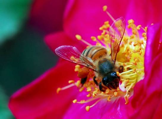 17265268_1330468667041129_351729124703148103_n