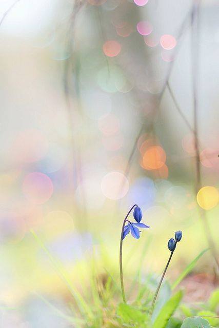 17424856_1326222510790411_351952336803068273_n