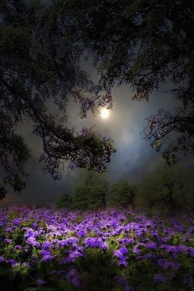 17424952_1326506427428686_3957799008090623375_n