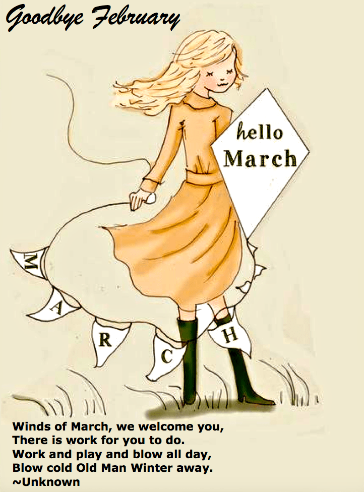 Screen Shot 2017-03-01 at 9.33.06 AM.png